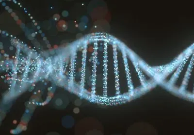 a DNA strand
